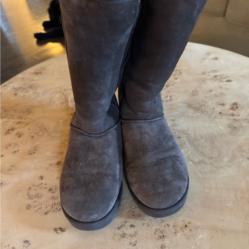 UGG Women's Charcoal Suede Winter Boots